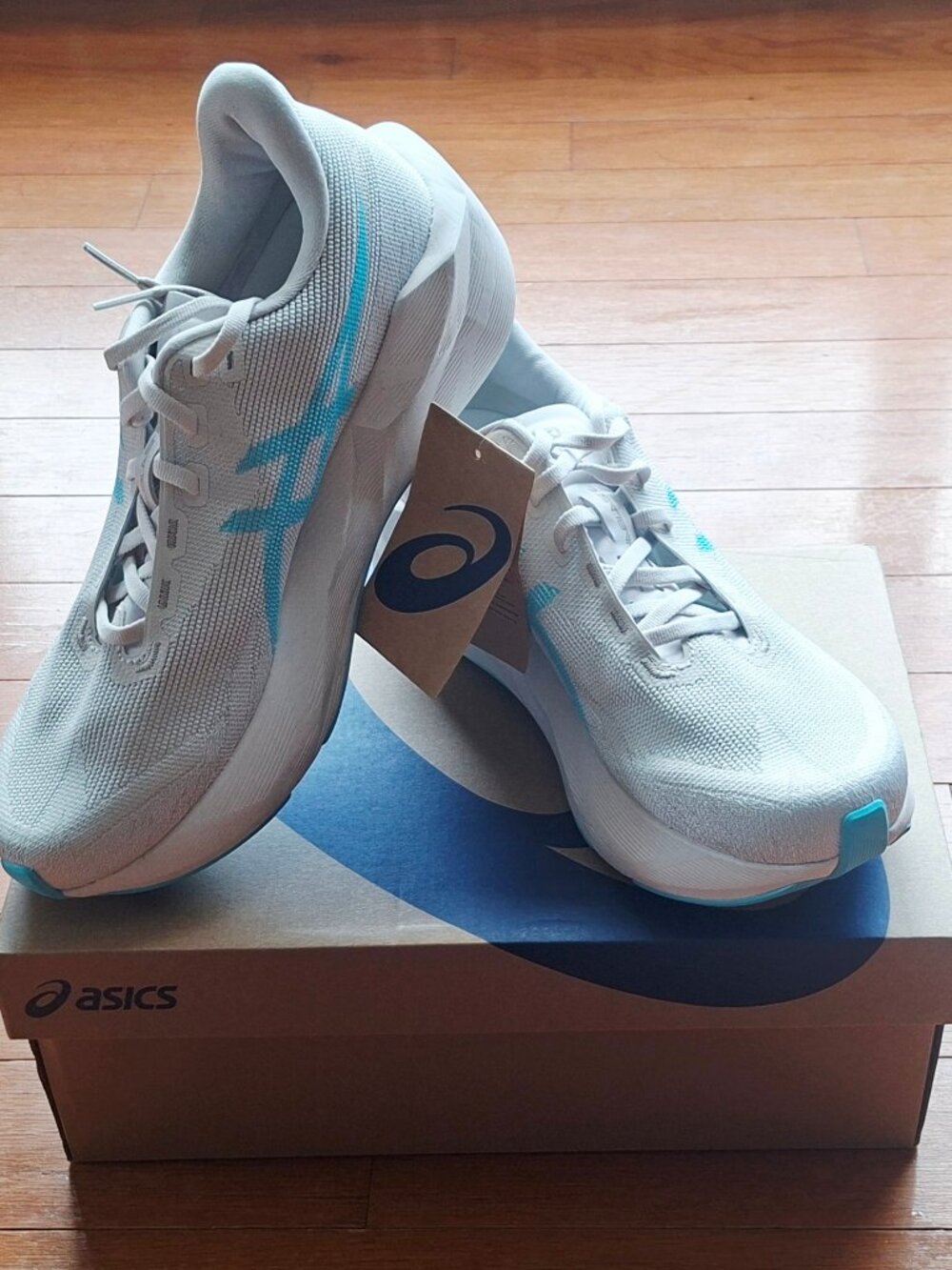Brand New Asics Novablast 6 - Women's Size 10